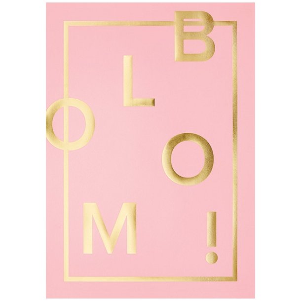 Plakat med skrift Bloom flere farver Rosa